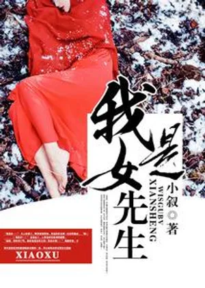 我是女先生小说封面