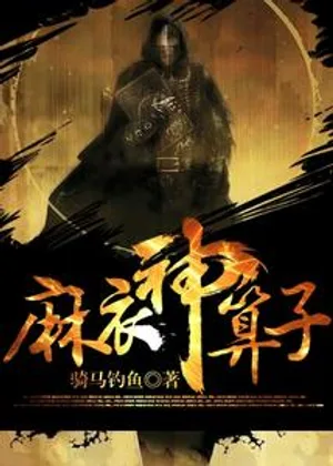 麻衣神算子小说封面