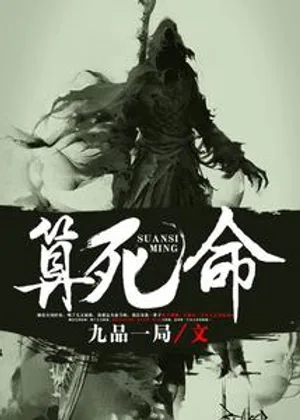 算死命小说封面