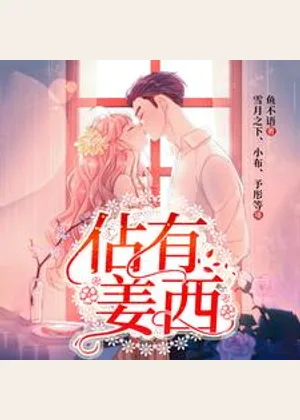 佔有姜西小说封面