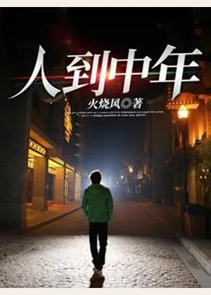 人到中年小说封面