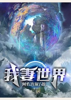 我妻世界小说封面