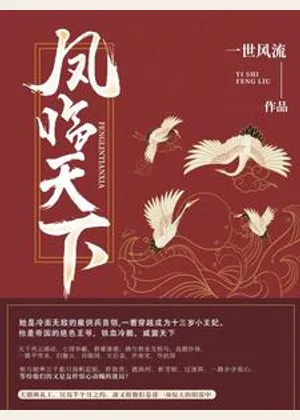 凤临天下小说封面