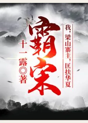 霸宋：我，梁山寨主，匡扶华夏！小说封面