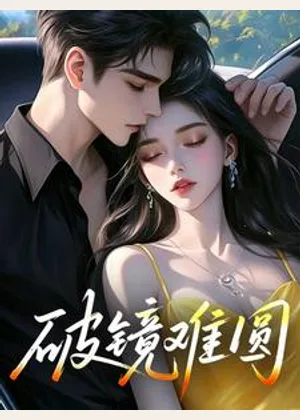 破镜难圆小说封面