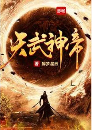 天武神帝小说封面