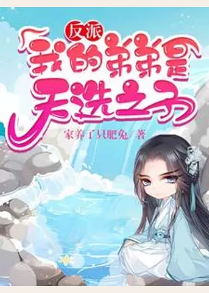 反派：我的弟弟是天选之子小说封面