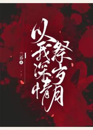 以我深情祭岁月小说封面