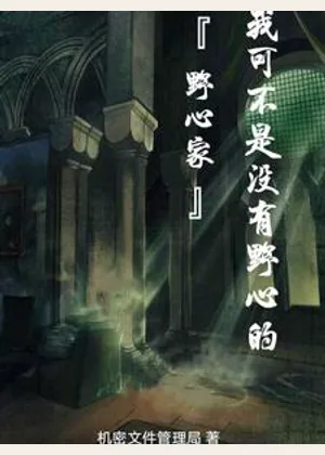 我可不是没有野心的野心家小说封面