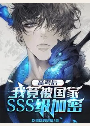 高考后，我竟被国家SSS级加密小说封面