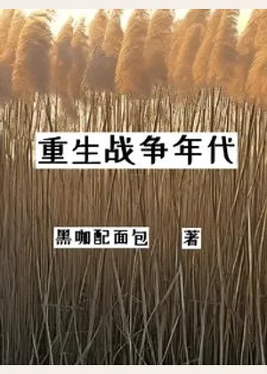 重生战争年代小说封面