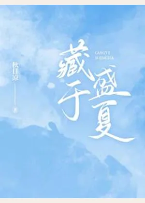 藏于盛夏小说封面