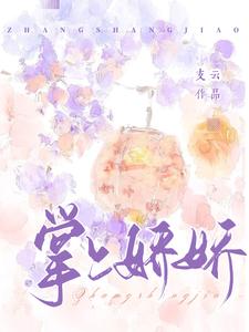 掌上娇娇小说封面