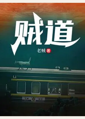贼道小说封面