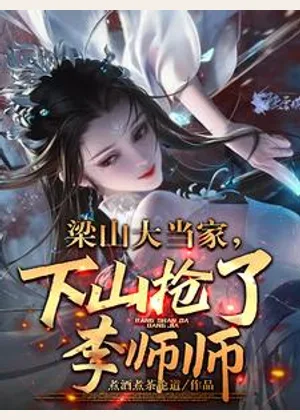 梁山大当家，下山抢了李师师小说封面