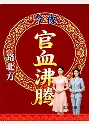 路北方，今夜官血沸腾小说封面