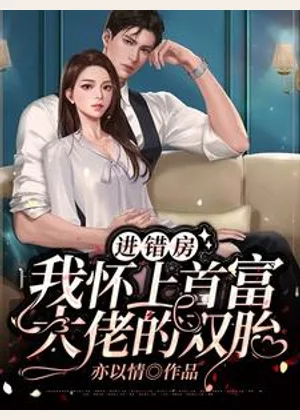 进错房，我怀上首富大佬的双胎小说封面