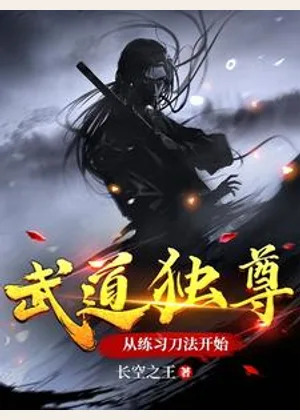 武道独尊，从练习刀法开始小说封面