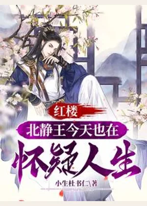 红楼：北静王今天也在怀疑人生小说封面
