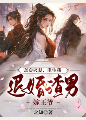宠妾灭妻，重生我退婚渣男嫁王爷小说封面