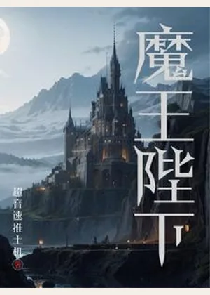 魔王陛下小说封面