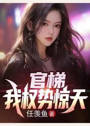 官梯：我权势惊天小说封面