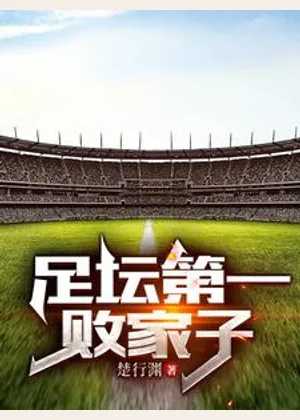 足坛第一败家子小说封面