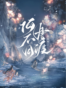 何不同舟渡小说封面