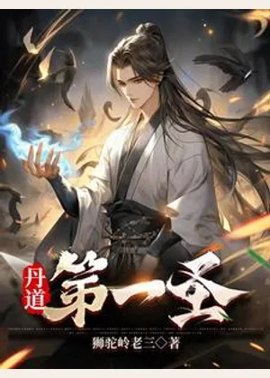 丹道第一圣小说封面
