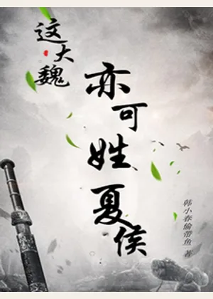 这大魏，亦可姓夏侯小说封面
