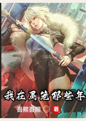 我在灵笼那些年小说封面