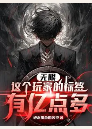 无限：这个玩家的标签有亿点多小说封面