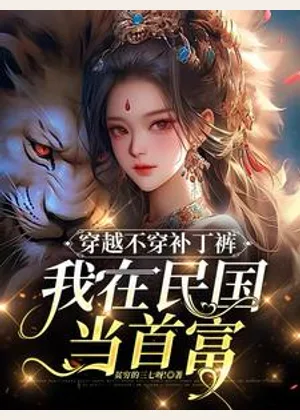 穿越不穿补丁裤，我在民国当首富小说封面