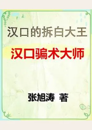 汉口的拆白大王小说封面