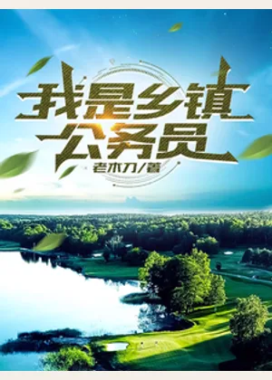 我是乡镇公务员小说封面