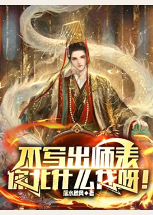 不写出师表，你北什么伐呀！小说封面