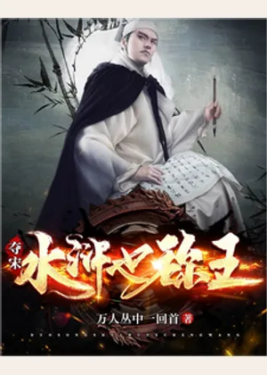 夺宋：水浒也称王小说封面