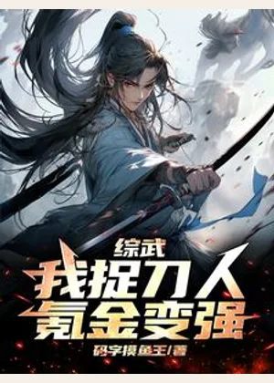 综武：我捉刀人，氪金变强小说封面