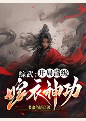 综武：开局满级嫁衣神功小说封面
