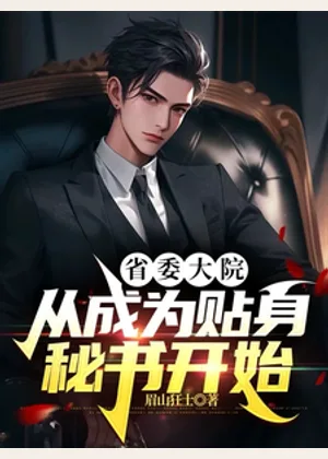 省委大院：从成为贴身秘书开始小说封面