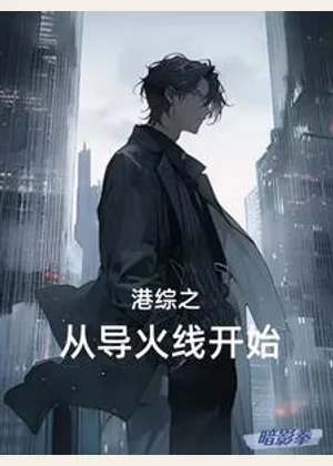 港综之从导火线开始小说封面