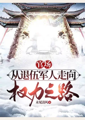 官场：从退伍军人走上权力之路小说封面