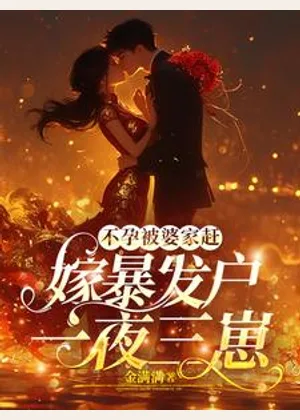 不孕被婆家赶，嫁暴发户一夜三崽小说封面
