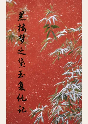 黑楼梦之黛玉复仇记小说封面