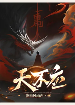 天不应小说封面