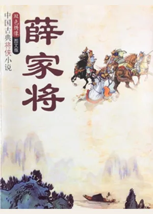 薛家将小说封面