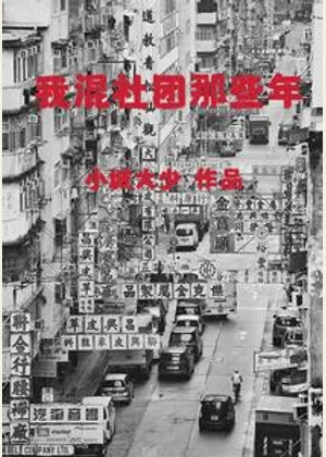 我混社团那些年小说封面