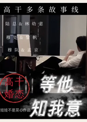 等他知我意小说封面