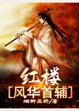 红楼：风华首辅小说封面