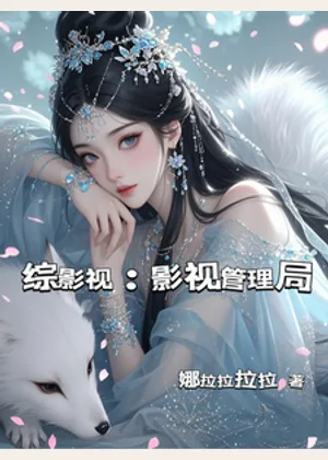 综影视：影视管理局小说封面